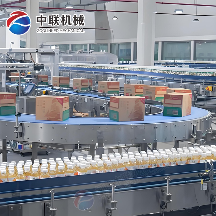 整套雞心果飲料生產(chǎn)線(xiàn)設備