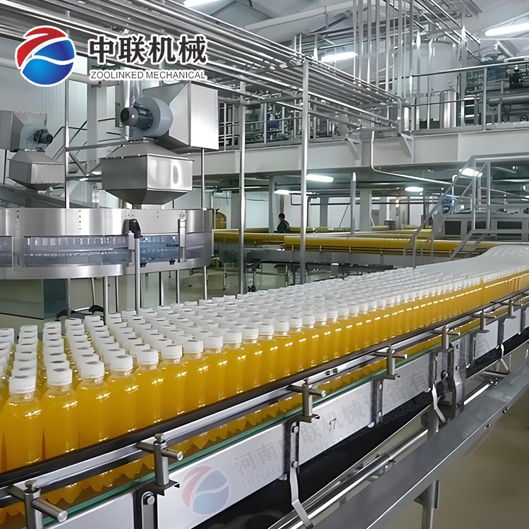 全自動(dòng)圣女果飲料生產(chǎn)線(xiàn)設備